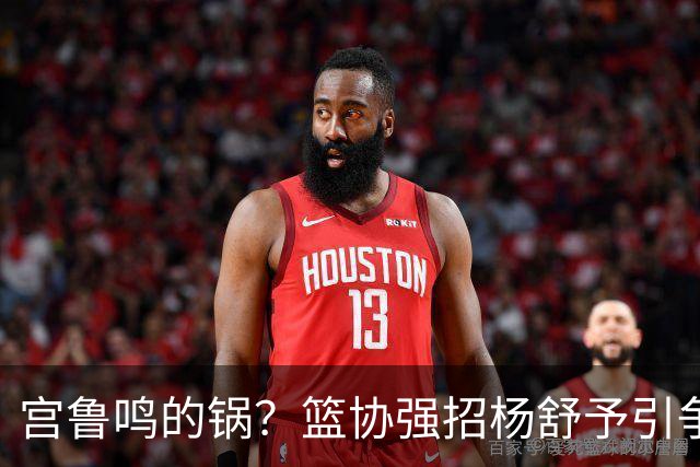 宫鲁鸣的锅？篮协强招杨舒予引争议：以后谁还敢签中国球员？