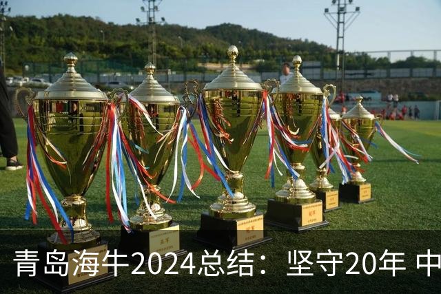 青岛海牛2024总结：坚守20年 中能的拼争与困境