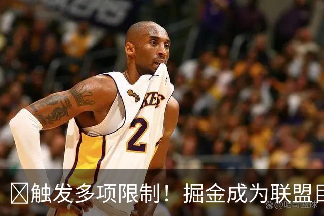 🚫触发多项限制！掘金成为联盟目前唯一进入第二土豪线的球队！